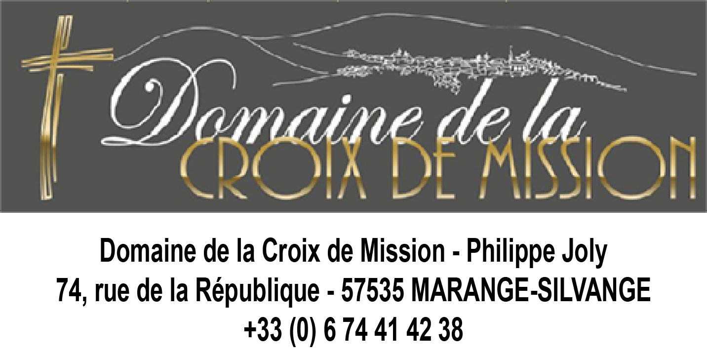 Logo-domaine-croix-de-mission