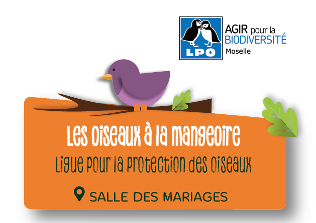 Les oiseaux à la mangeoire - salle des mariages